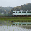 五月雨の早稲田を