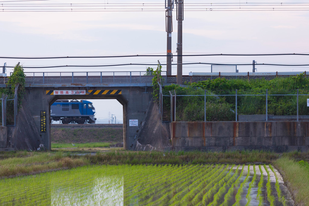 橋梁の風景