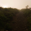 光への道は遠く険しい・・・