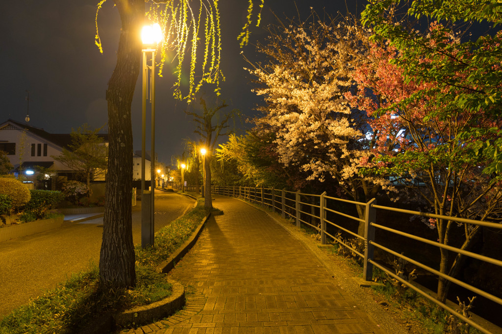 街路
