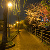 街路