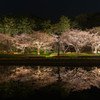 Night Scene