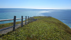 涙岬