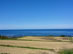 青森県のどこか