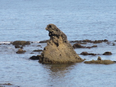 ゴジラ岩（能登半島ver.）