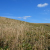 神威岬の草原
