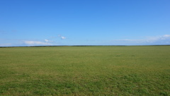 北海道・エサヌカ原生花園②