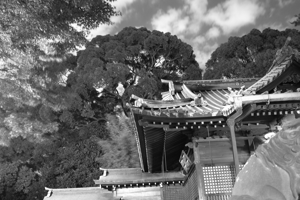 代々木八幡