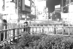 渋谷