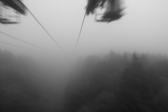 雲の中