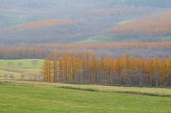 tokati 1