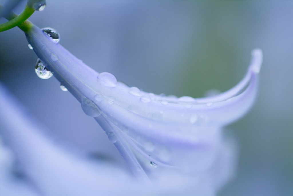 雨上がり