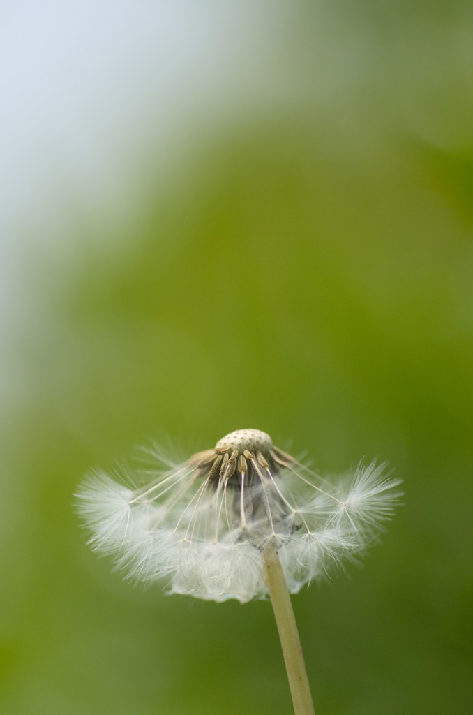 バラ園横の小道にて