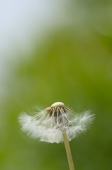 バラ園横の小道にて