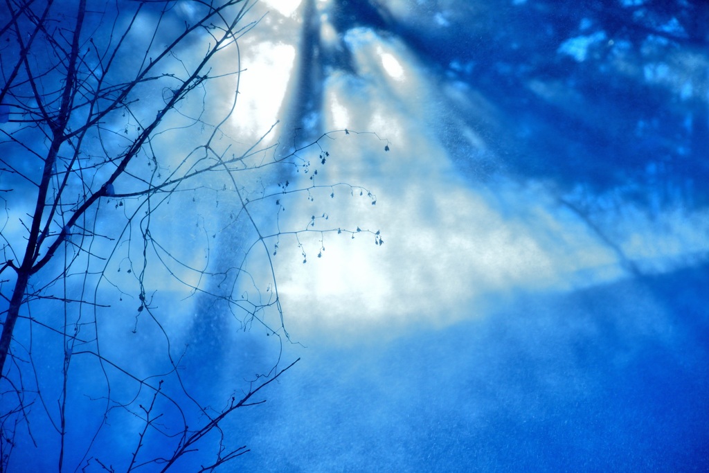 20150214 雪　風　2