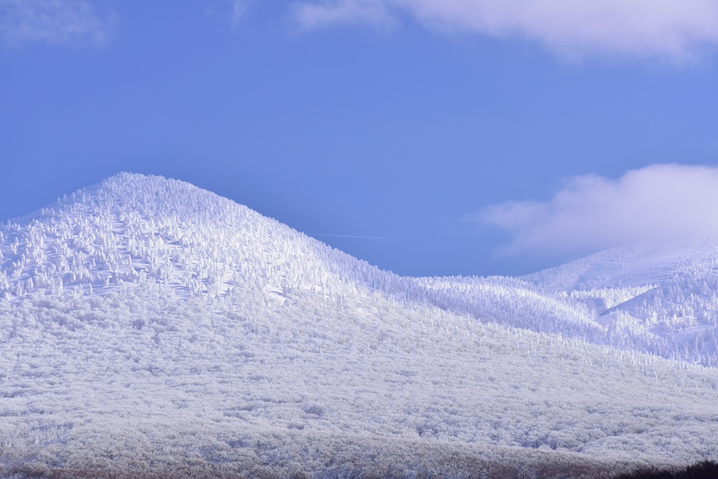 20150125 八甲田_966