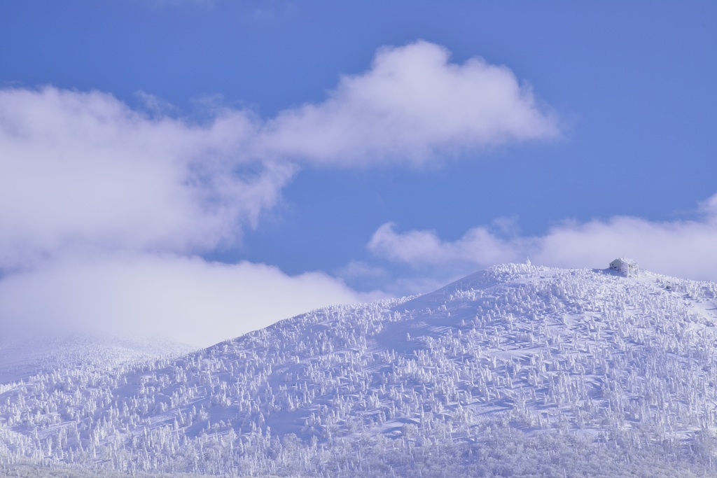 20150125 八甲田_969