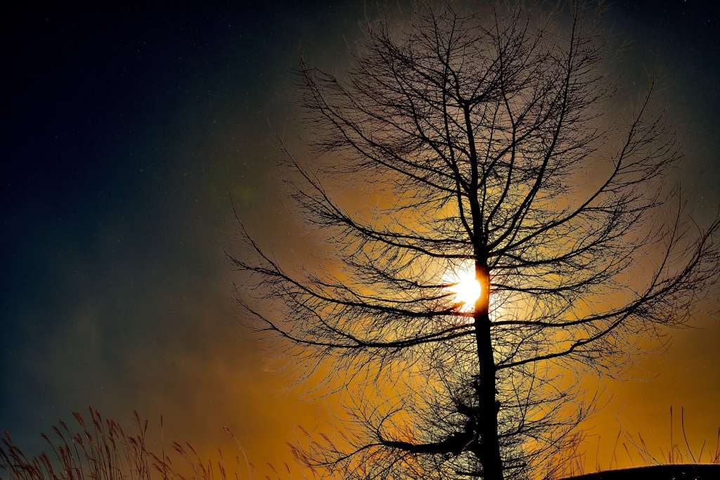 20150214 　雪　風
