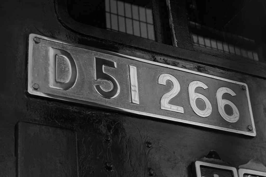 D51