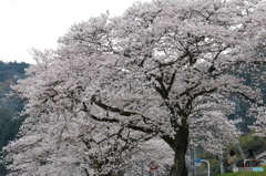 斐伊川堤防