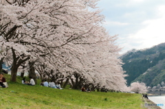 斐伊川堤防