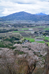 里山