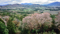 里山