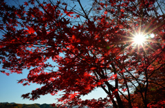 逆光