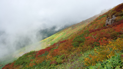 すでに山は紅葉