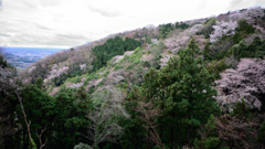 里山