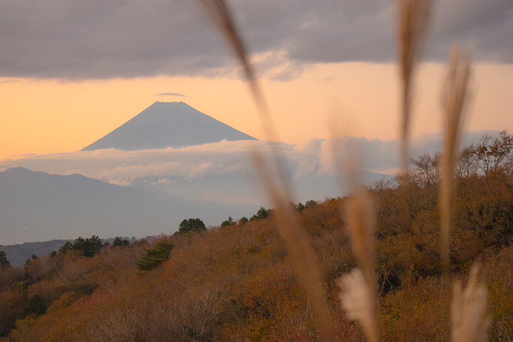 伊豆スカイラインから望む富士山