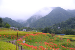 寺坂棚田
