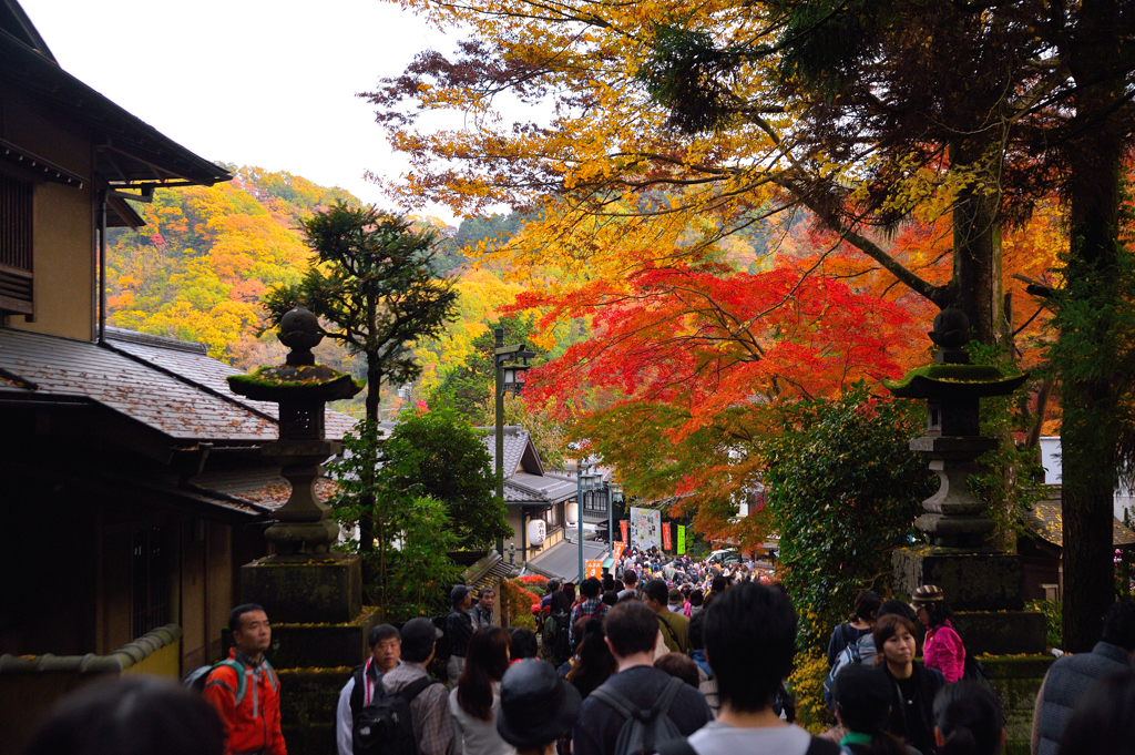 麓の紅葉