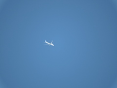 全日空