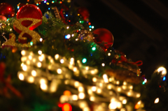 Warm Xmas