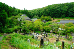 陽林寺