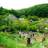 陽林寺
