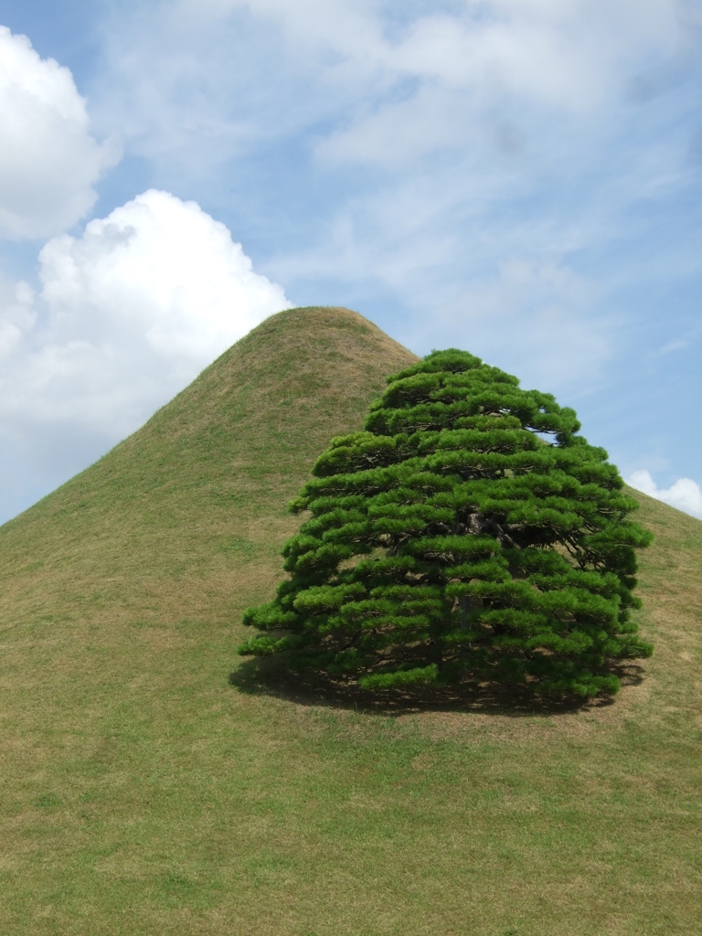 Zen and a tree in Kumamoto