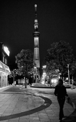 Skytree