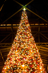 クリスマスツリー