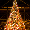 クリスマスツリー