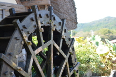 里山