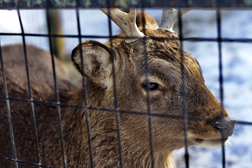 公園スナップ　１