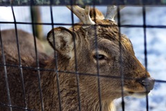 公園スナップ　１