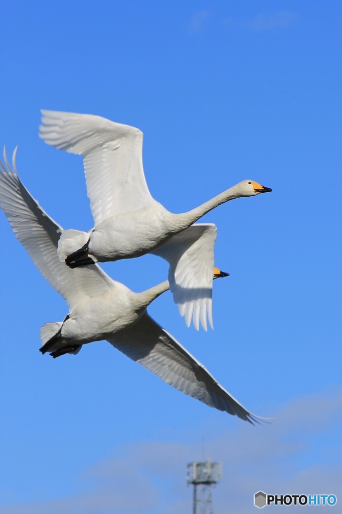 やっぱり青空がいい！