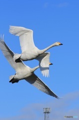 やっぱり青空がいい！