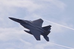 こんな写真ばっかり溜まっていきます　１