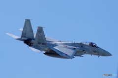 忙しくて撮りに行ってないな〜