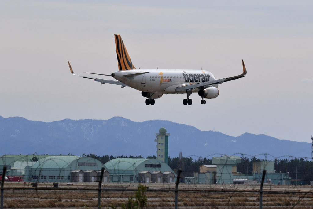 tigerair