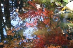 京都１